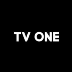TV One logo